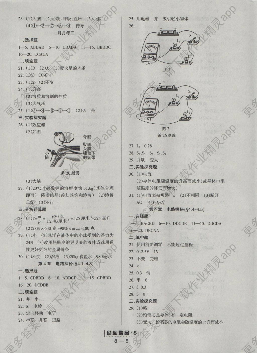 2016年励耘书业励耘活页周周练八年级科学上册答案