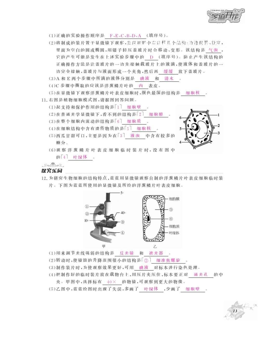 2016年作業(yè)本七年級生物上冊人教版江西教育出版社 參考答案第15頁