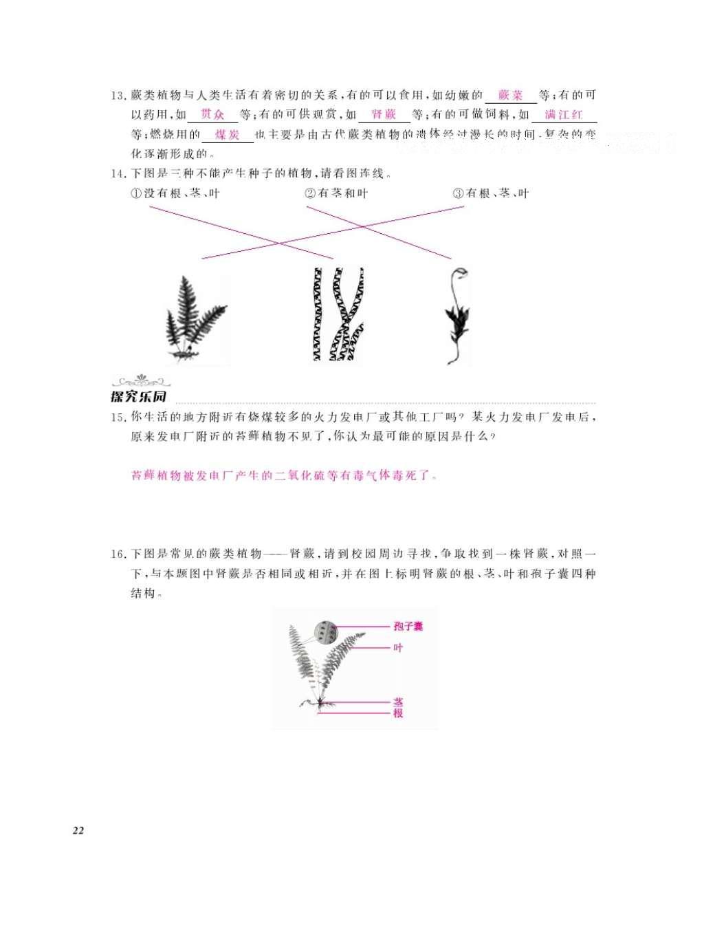 2016年作業(yè)本七年級生物上冊冀少版江西教育出版社 參考答案第24頁