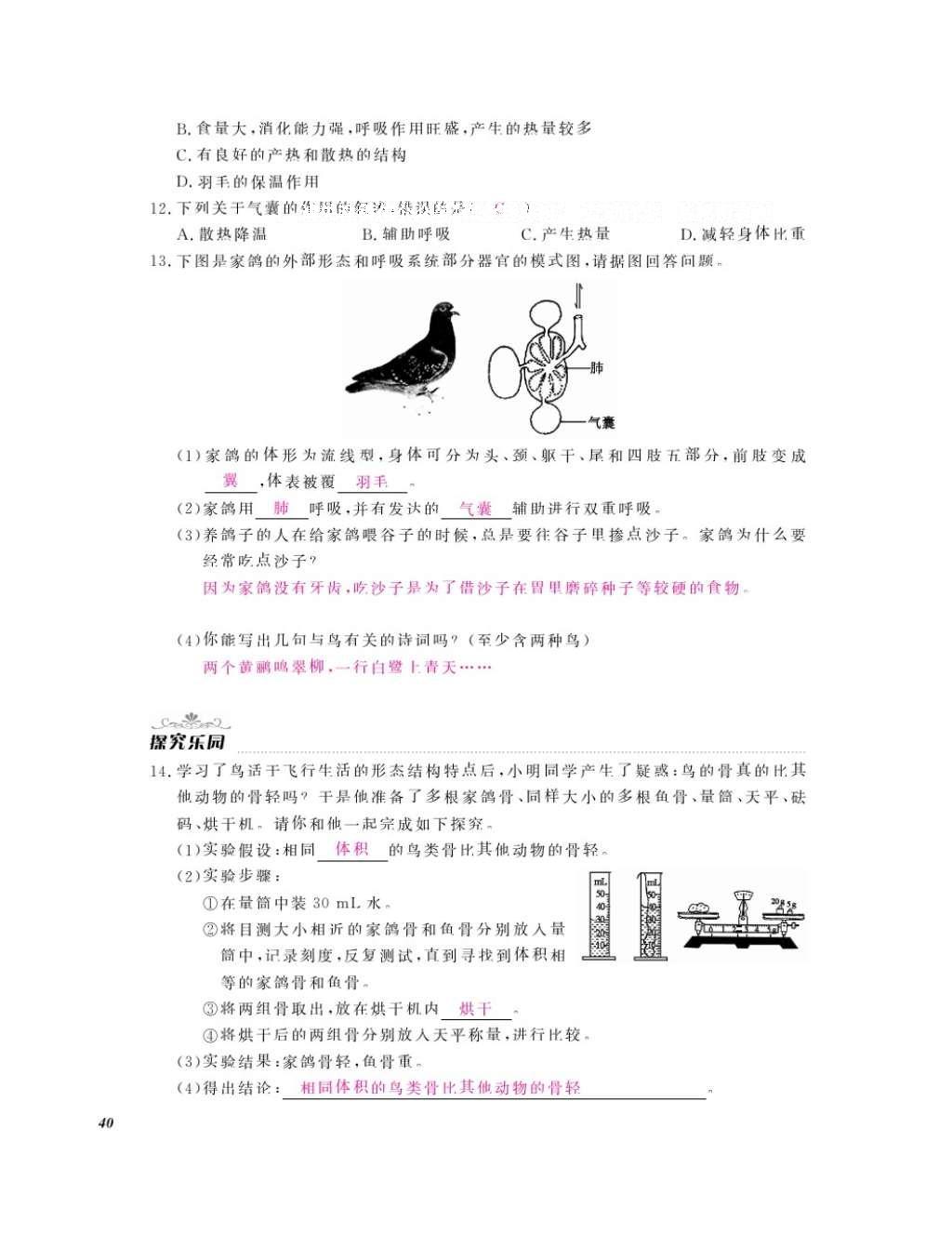 2016年作業(yè)本七年級生物上冊冀少版江西教育出版社 參考答案第42頁