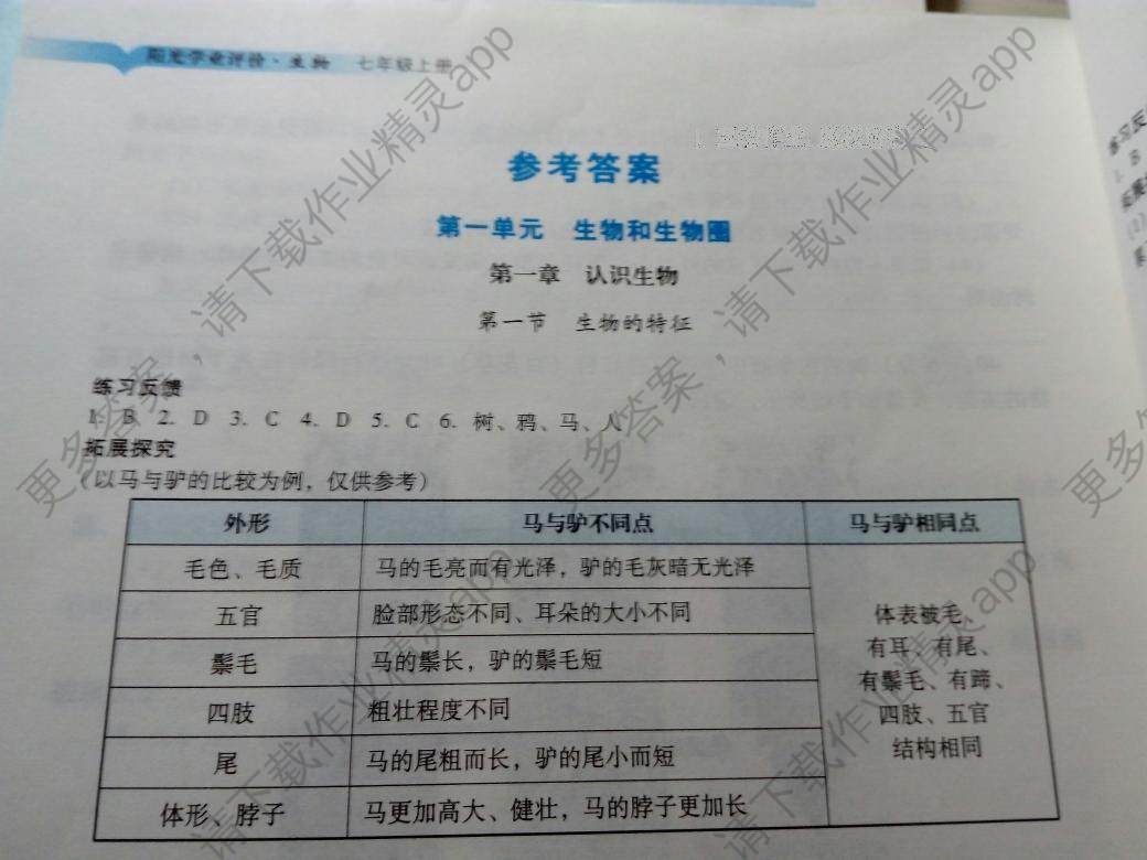 课程标准新教案·生物八年级上_生物教案下载_七年级生物教案