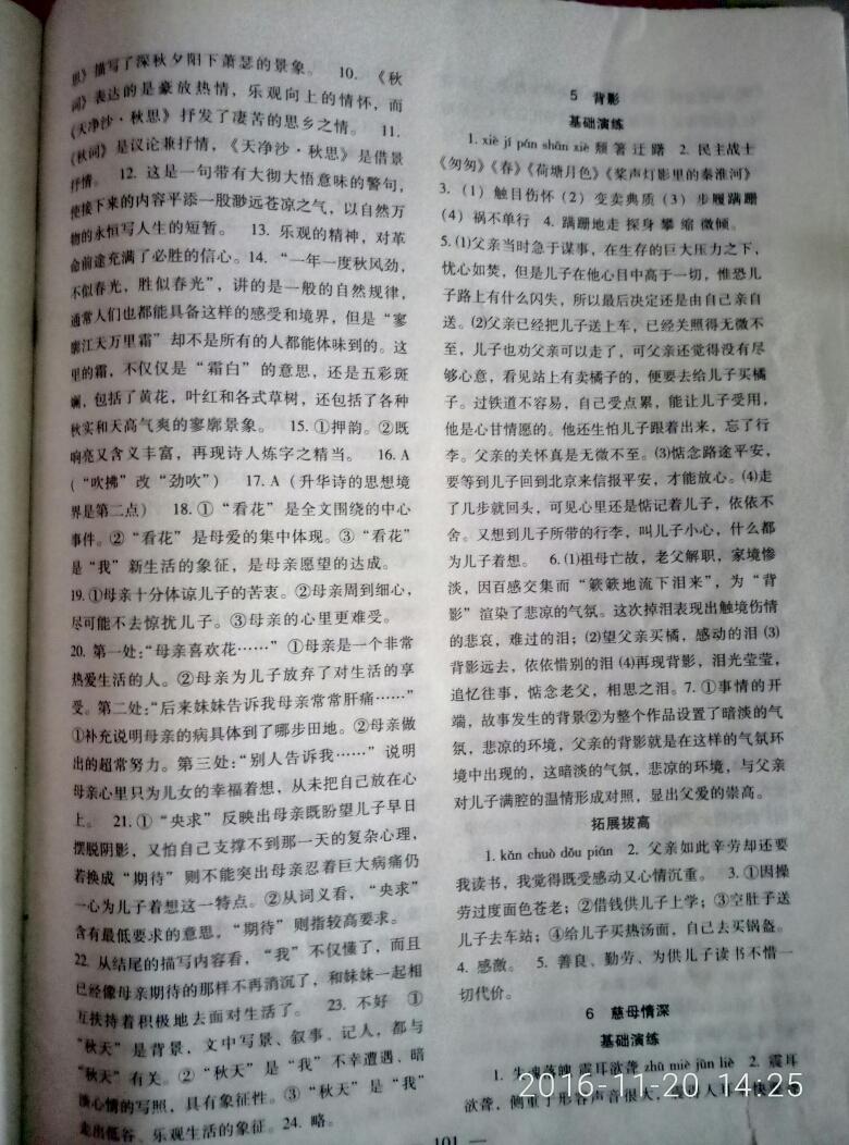 2016年語(yǔ)文配套綜合練習(xí)七年級(jí)上冊(cè)北師大版北京師范大學(xué)出版社 第5頁(yè)