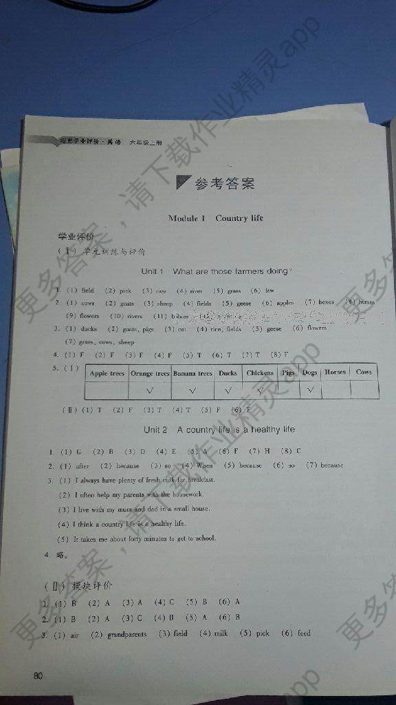 2016年阳光学业评价六年级英语上册教科版答案——青