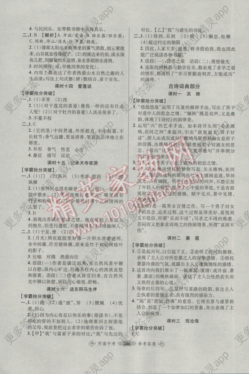 2017年优学教育河南中考A总复习专用教材语文