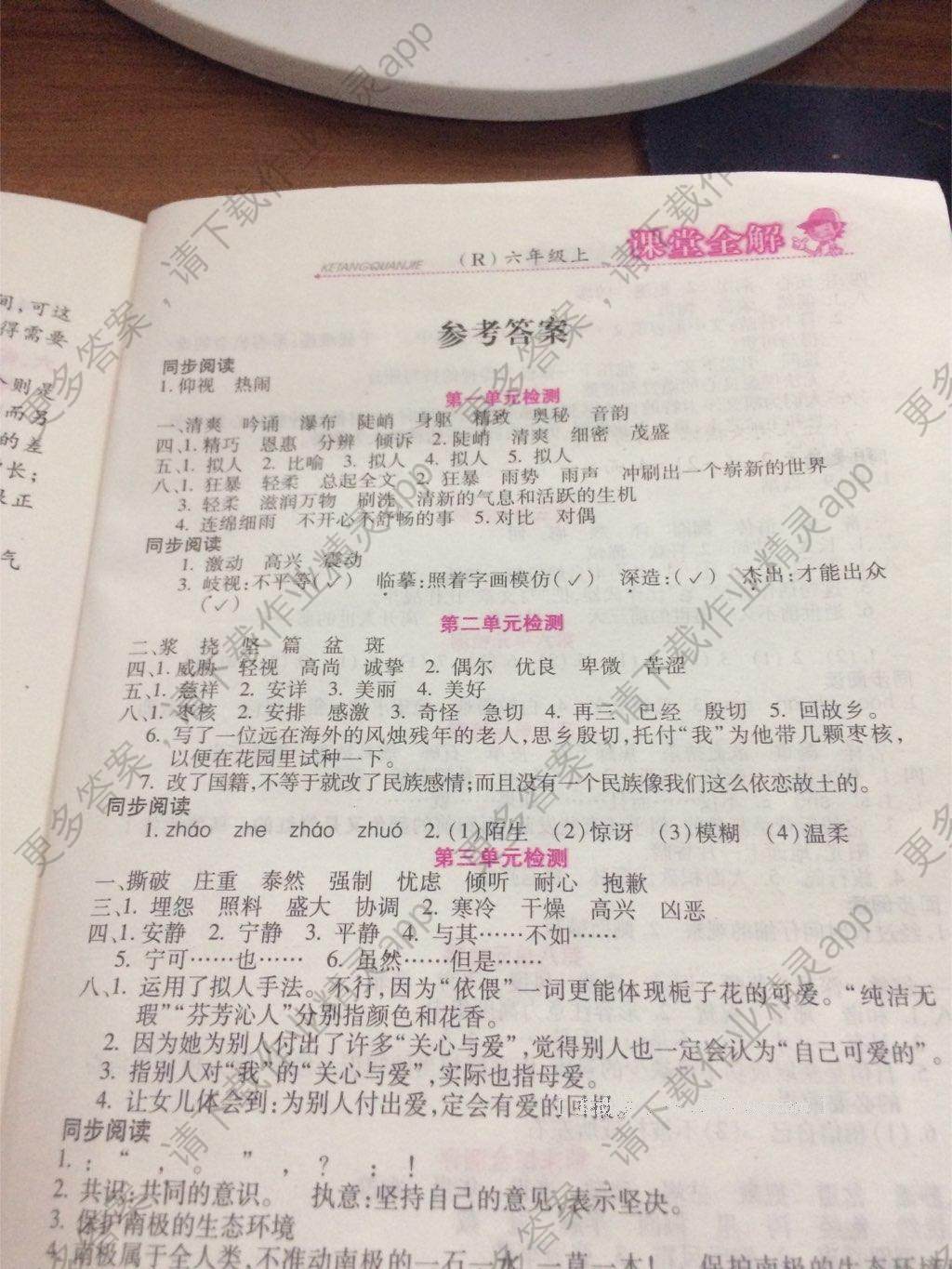 2016年课堂全解字词句段篇章六年级语文上册人教版