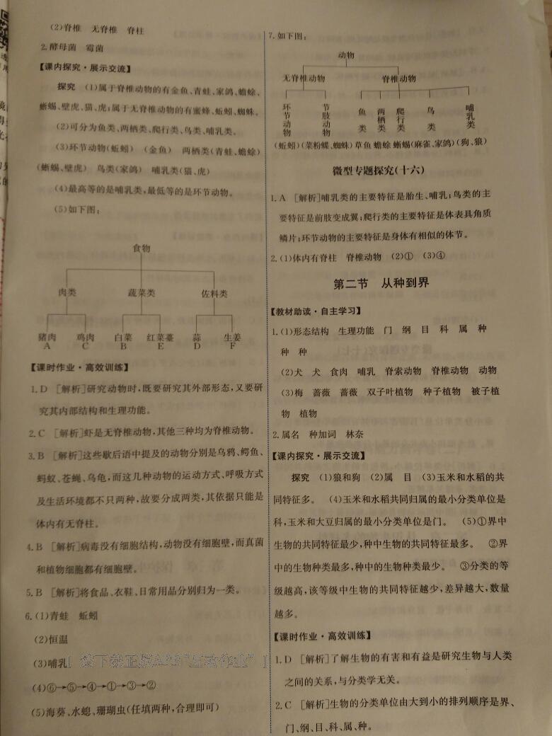 2016年能力培养与测试八年级生物学上册人教版A 第35页