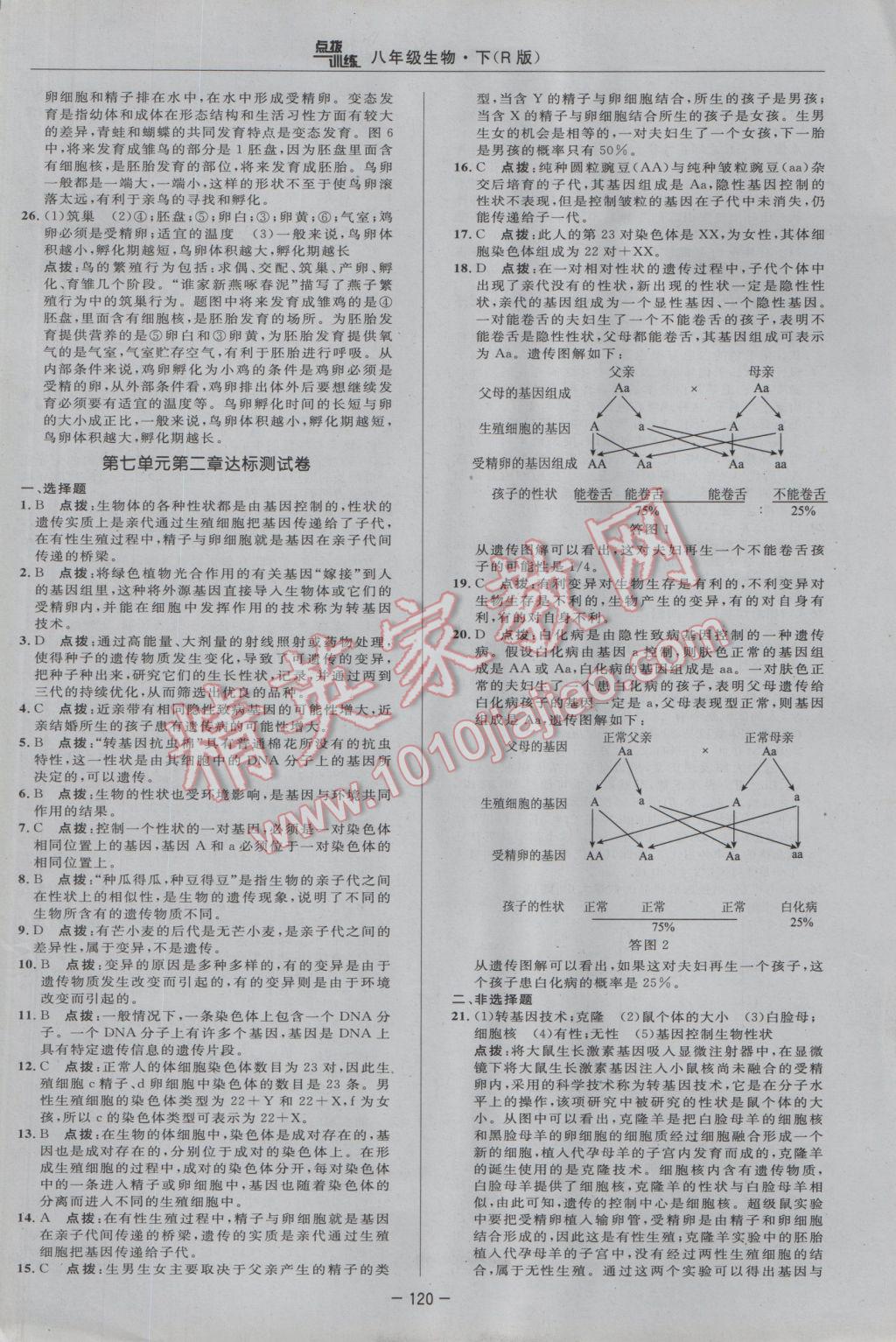 2017年點(diǎn)撥訓(xùn)練八年級生物下冊人教版 參考答案第2頁