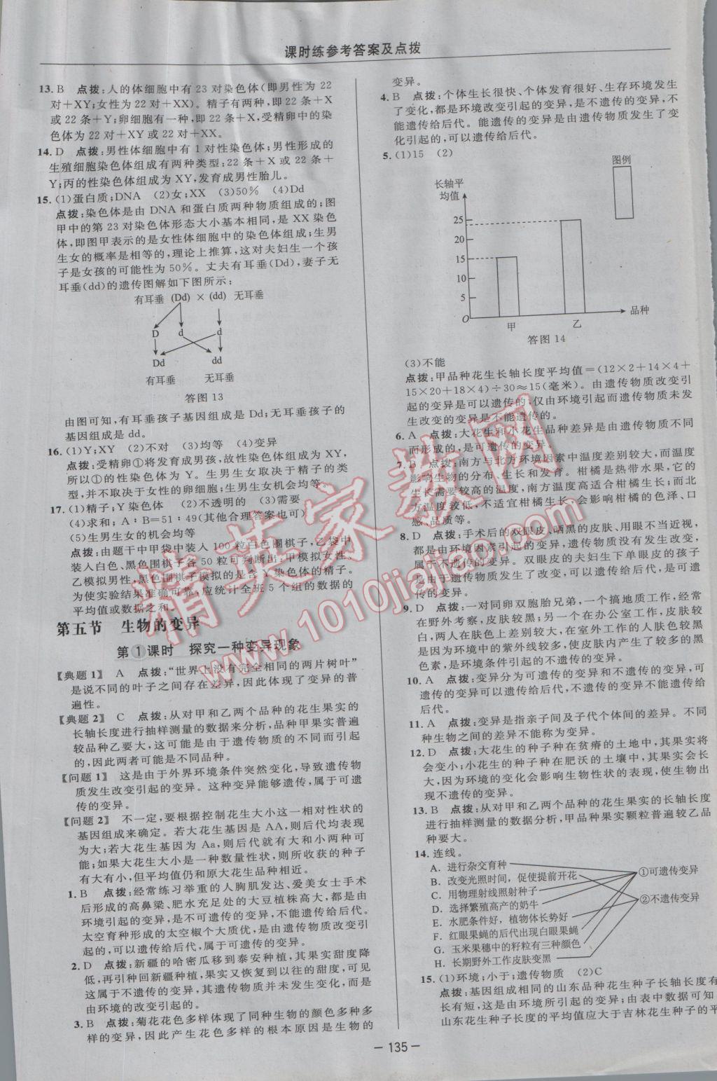 2017年點(diǎn)撥訓(xùn)練八年級(jí)生物下冊(cè)人教版 參考答案第17頁(yè)