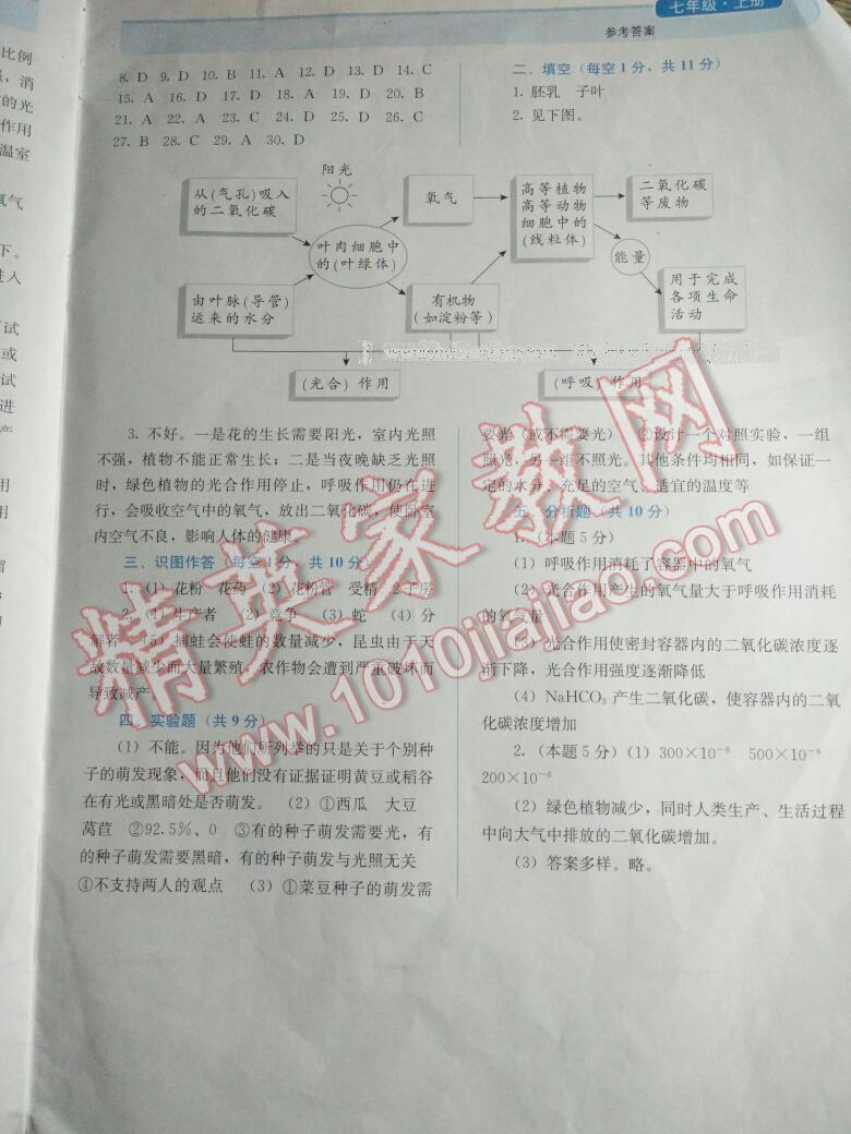 2016年人教金學(xué)典同步解析與測評七年級生物學(xué)上冊人教版河北專版 第30頁