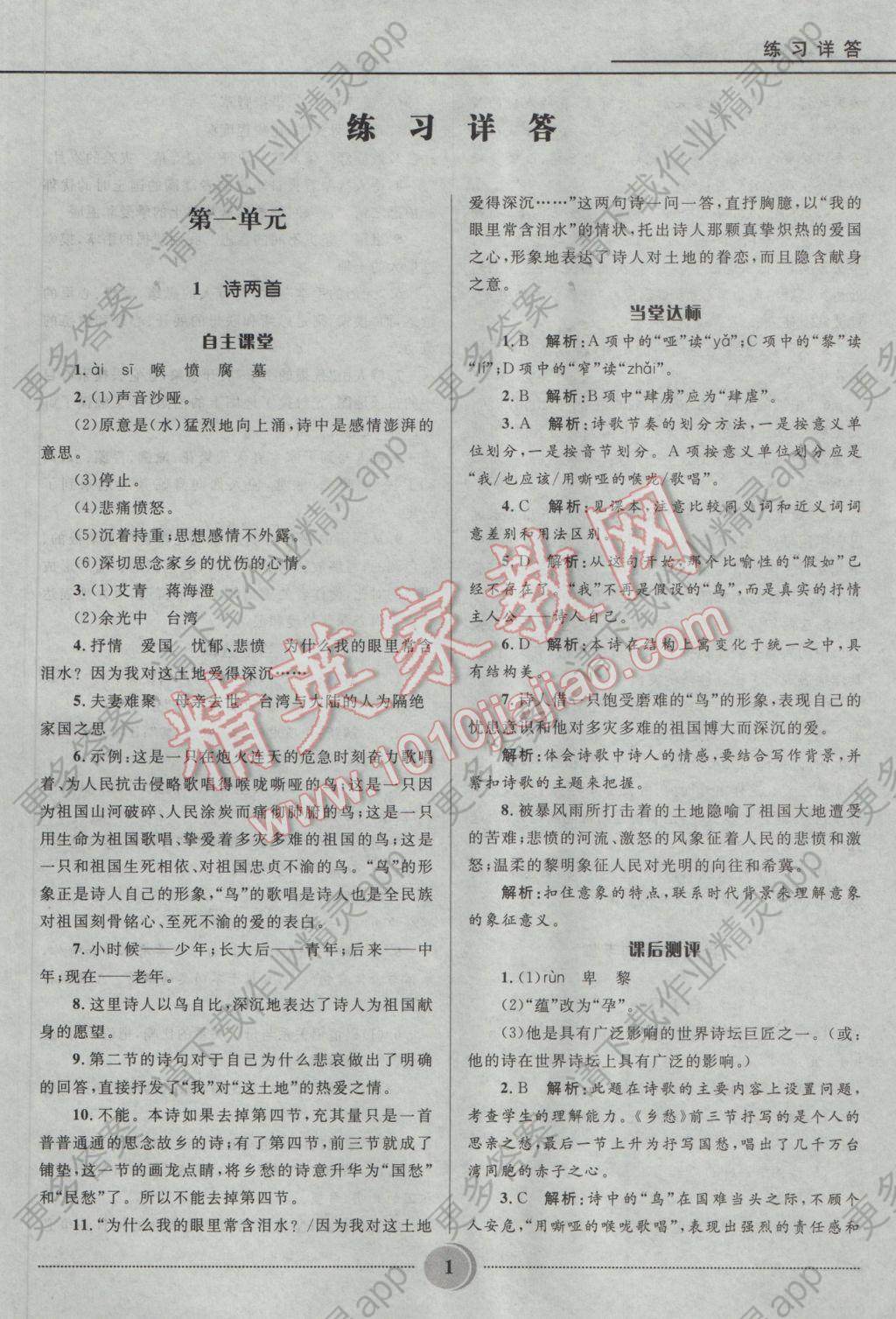 2017年夺冠百分百初中精讲精练九年级语文下