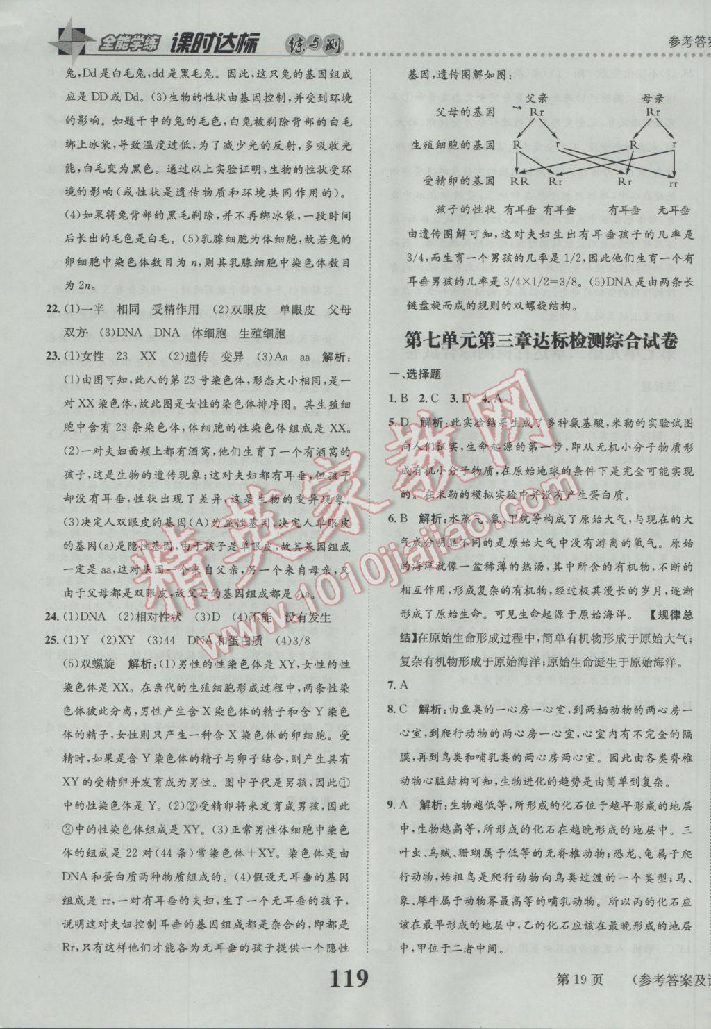 2017年課時(shí)達(dá)標(biāo)練與測(cè)八年級(jí)生物下冊(cè)人教版 參考答案第19頁(yè)