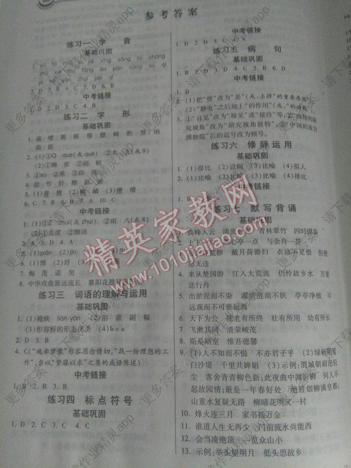 2017年寒假作业八年级语文河北美术出版社答