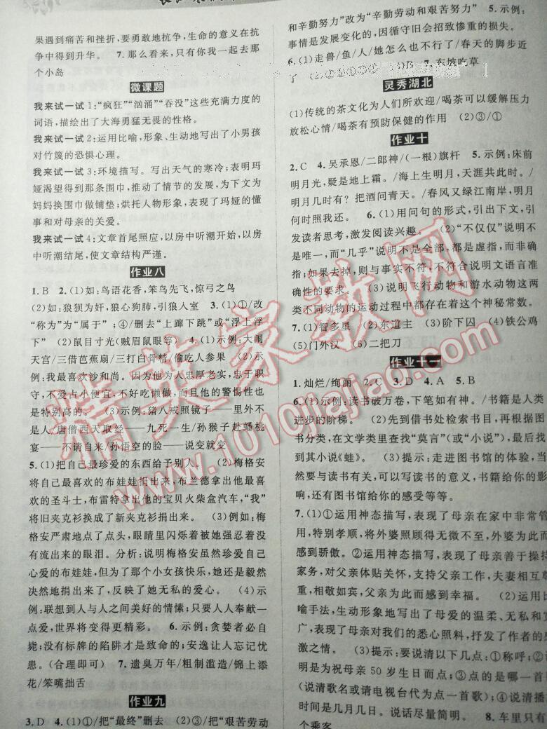 2017年长江寒假作业七年级语文 第9页