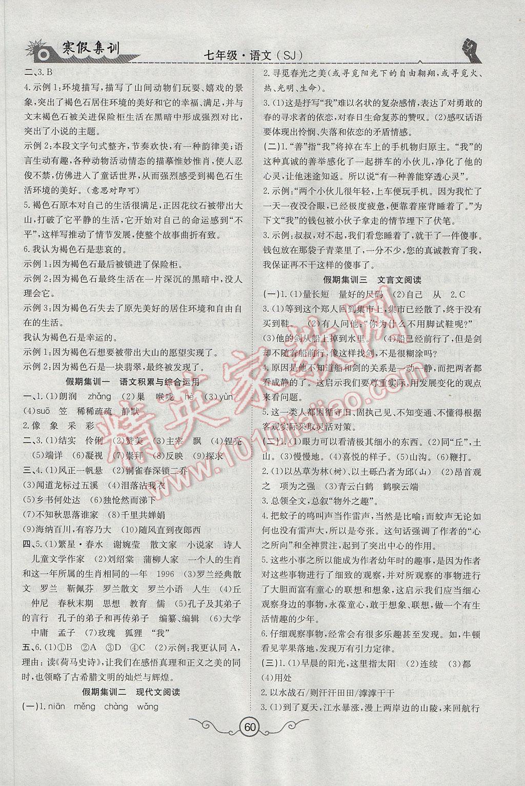 2017年寒假集训七年级语文苏教版 参考答案第6页