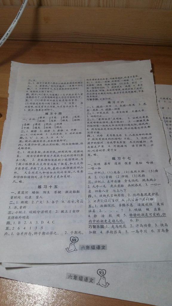 2017年一路领先寒假作业六年级语文人教版河北美术出版社 第10页