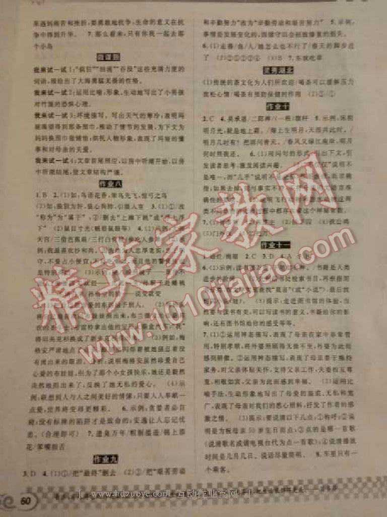 2017年长江寒假作业七年级语文 第11页