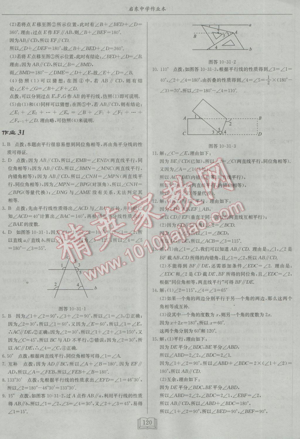 2017年启东中学作业本七年级数学下册沪科版 参考答案第20页