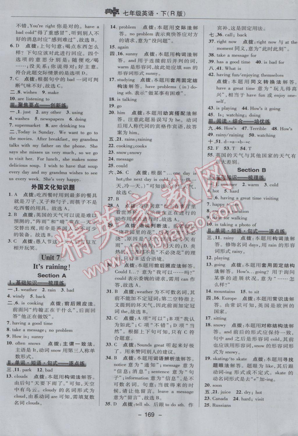 2017年綜合應(yīng)用創(chuàng)新題典中點(diǎn)七年級英語下冊人教版 參考答案第29頁