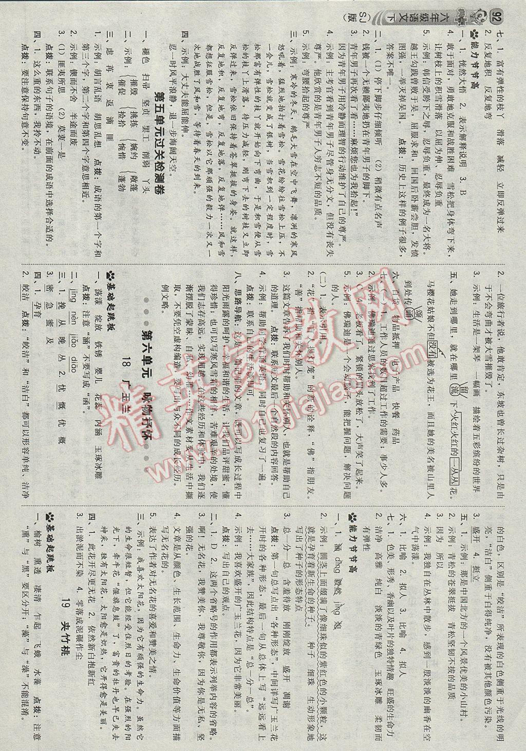 2017年綜合應(yīng)用創(chuàng)新題典中點(diǎn)六年級語文下冊蘇教版 參考答案第10頁