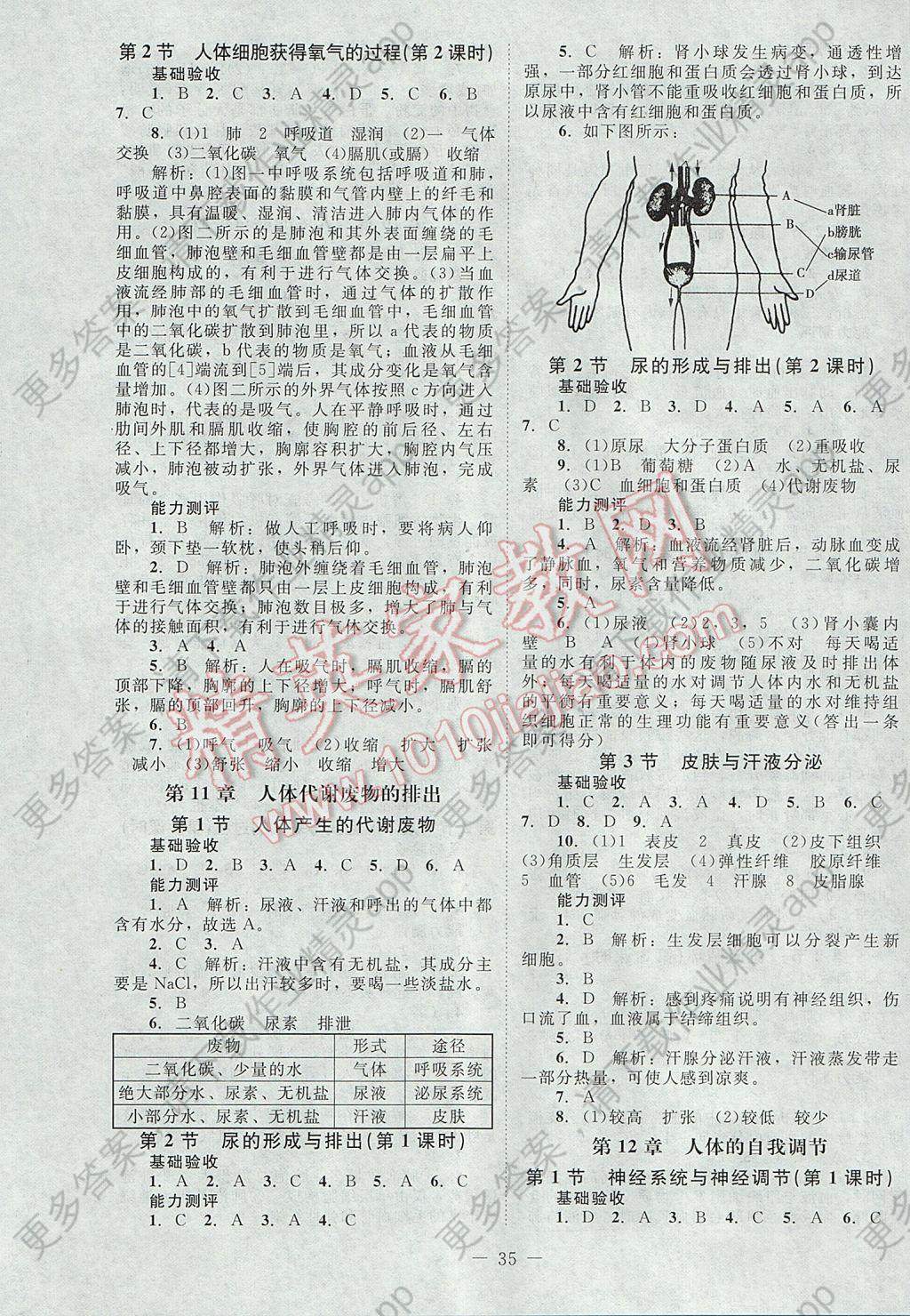 2017年课堂精练七年级生物下册北师大版湖北