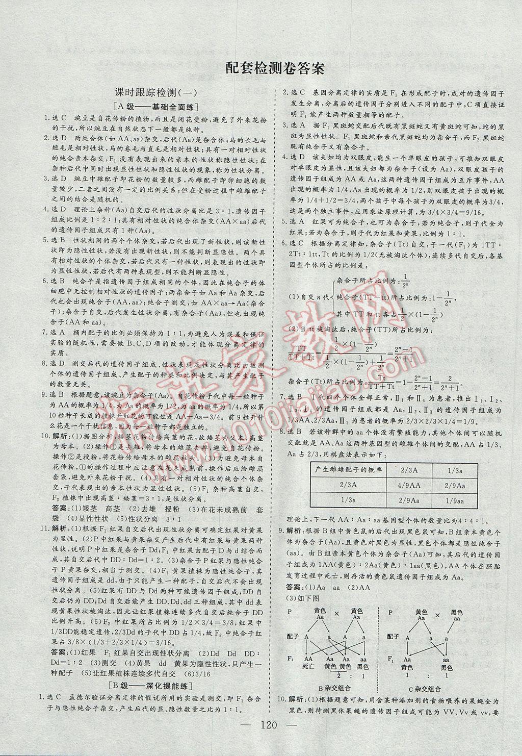 三维设计高中新课标同步课堂生物必修2 参考答案第12页