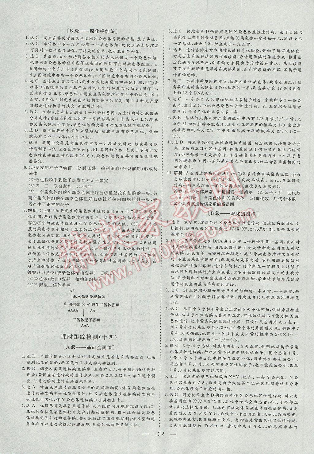 三维设计高中新课标同步课堂生物必修2 参考答案第24页