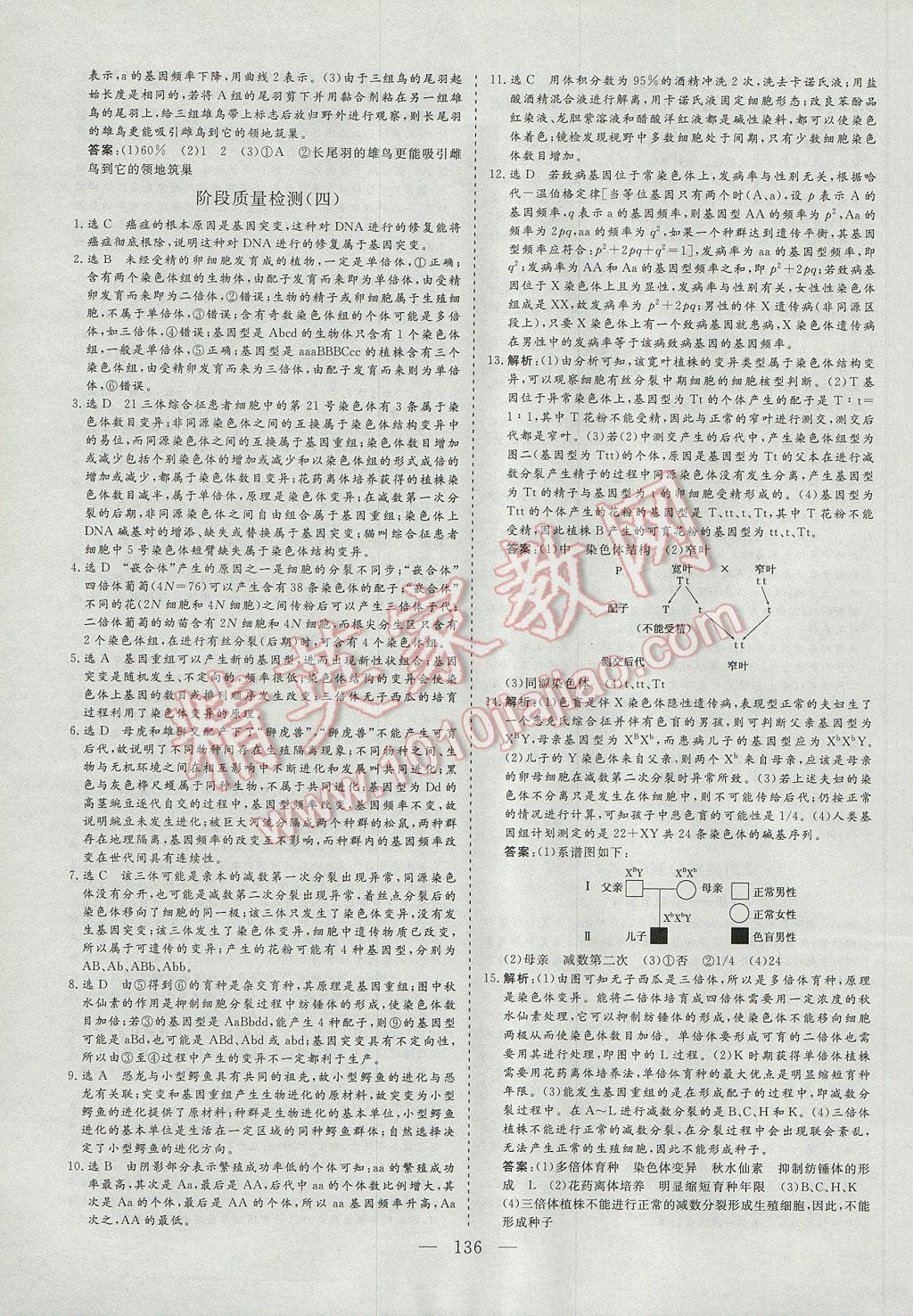 三维设计高中新课标同步课堂生物必修2 参考答案第28页