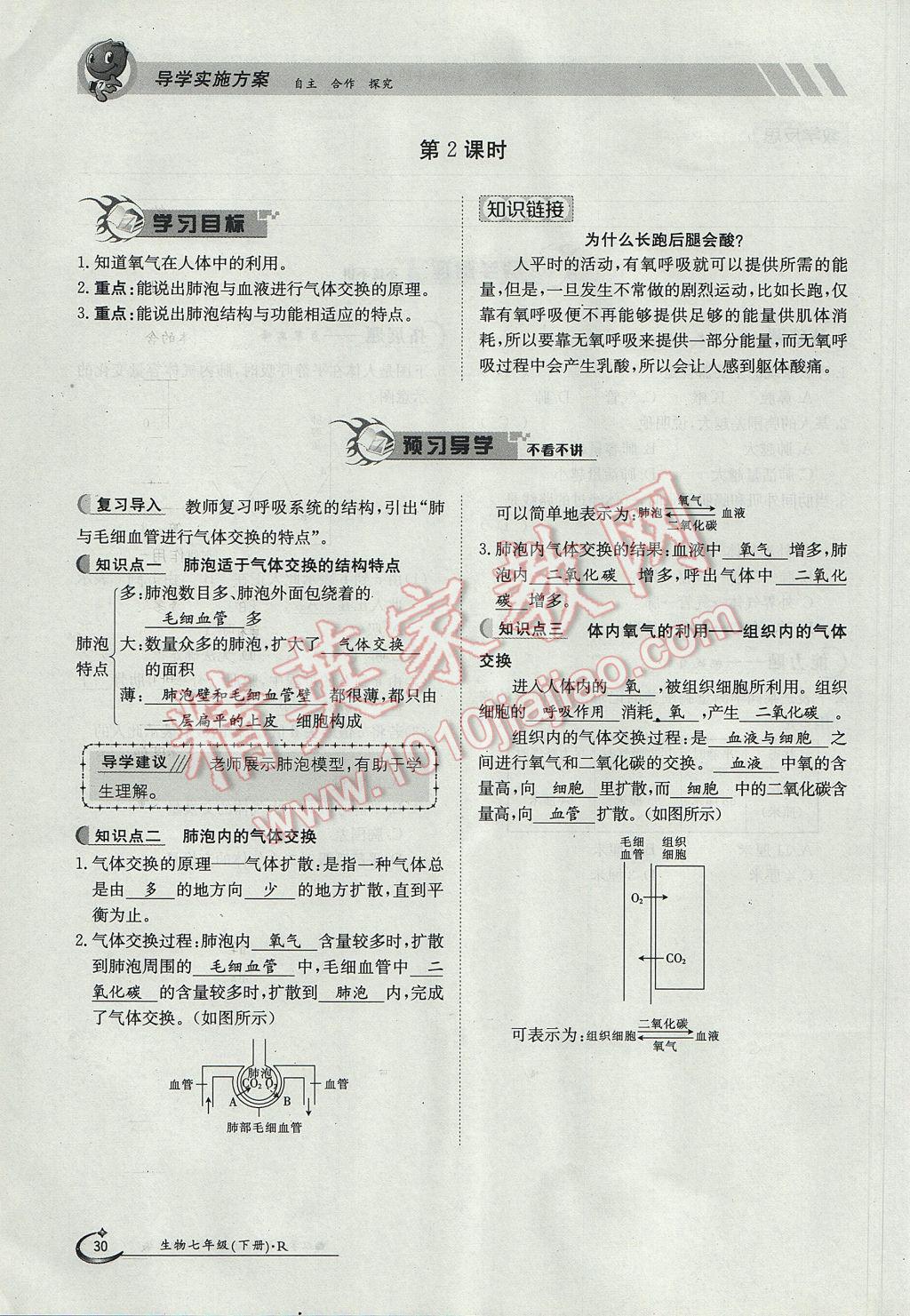 2017年金太陽(yáng)導(dǎo)學(xué)案七年級(jí)生物下冊(cè) 第三章第24頁(yè)