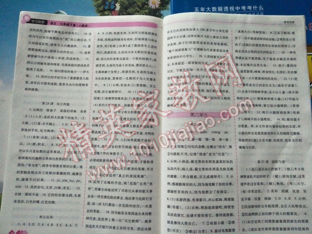 2017年學(xué)習(xí)指要七年級語文下冊人教版 參考答案第6頁