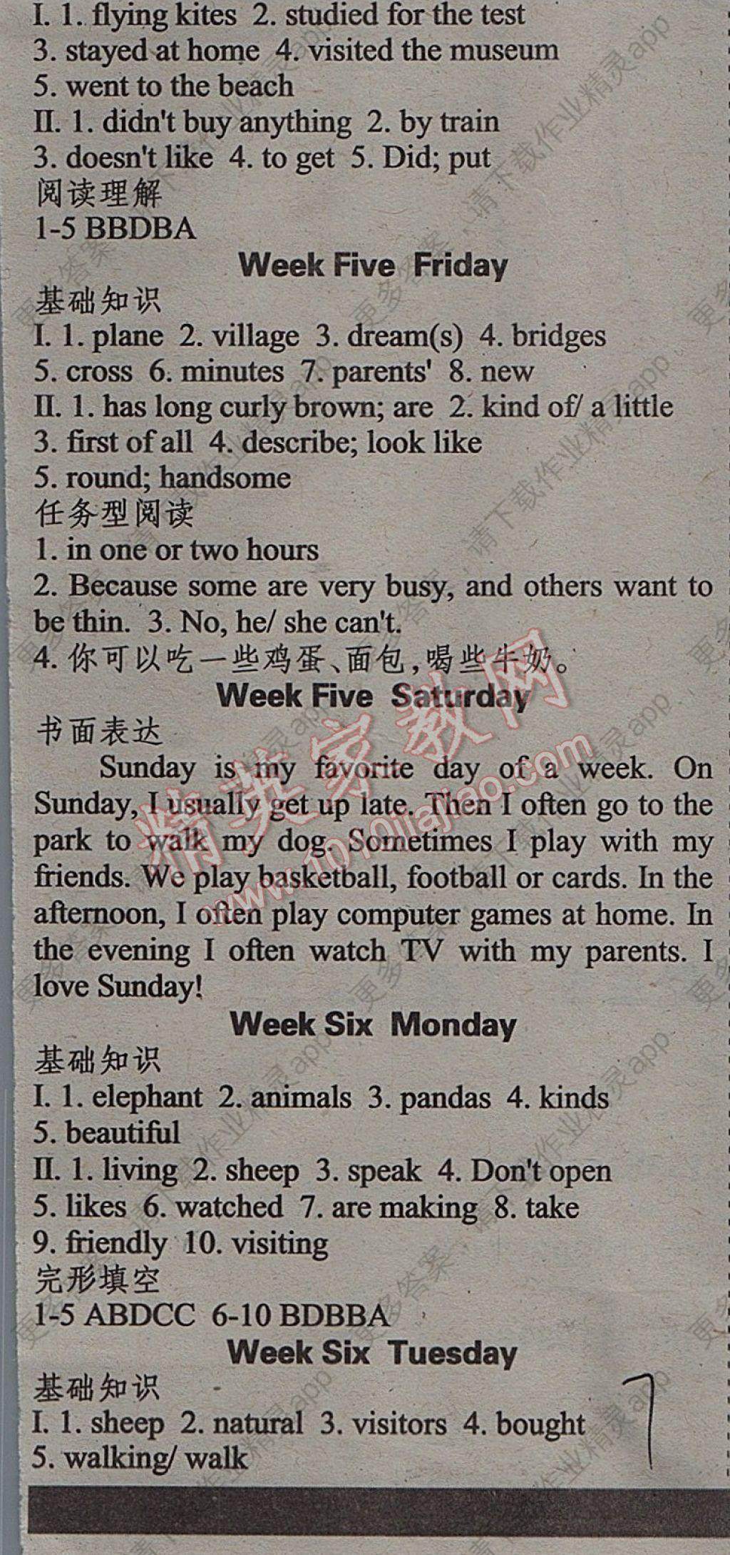 2017年少年素质教育报英语天地暑假作业七年