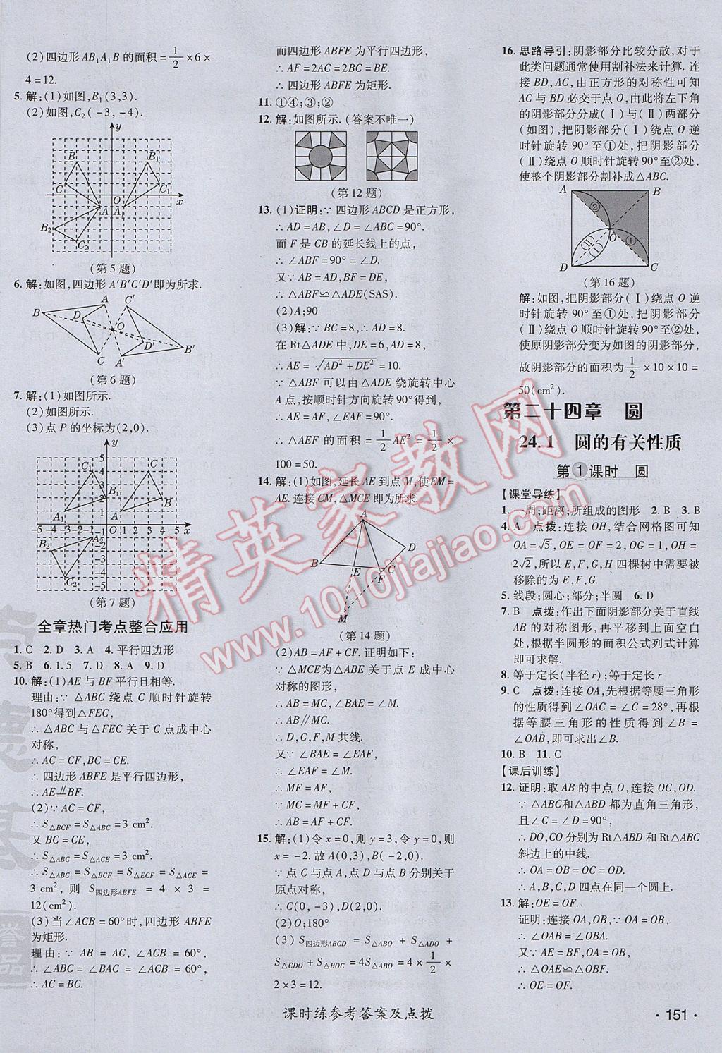 2017年點撥訓(xùn)練九年級數(shù)學(xué)上冊人教版 參考答案第30頁