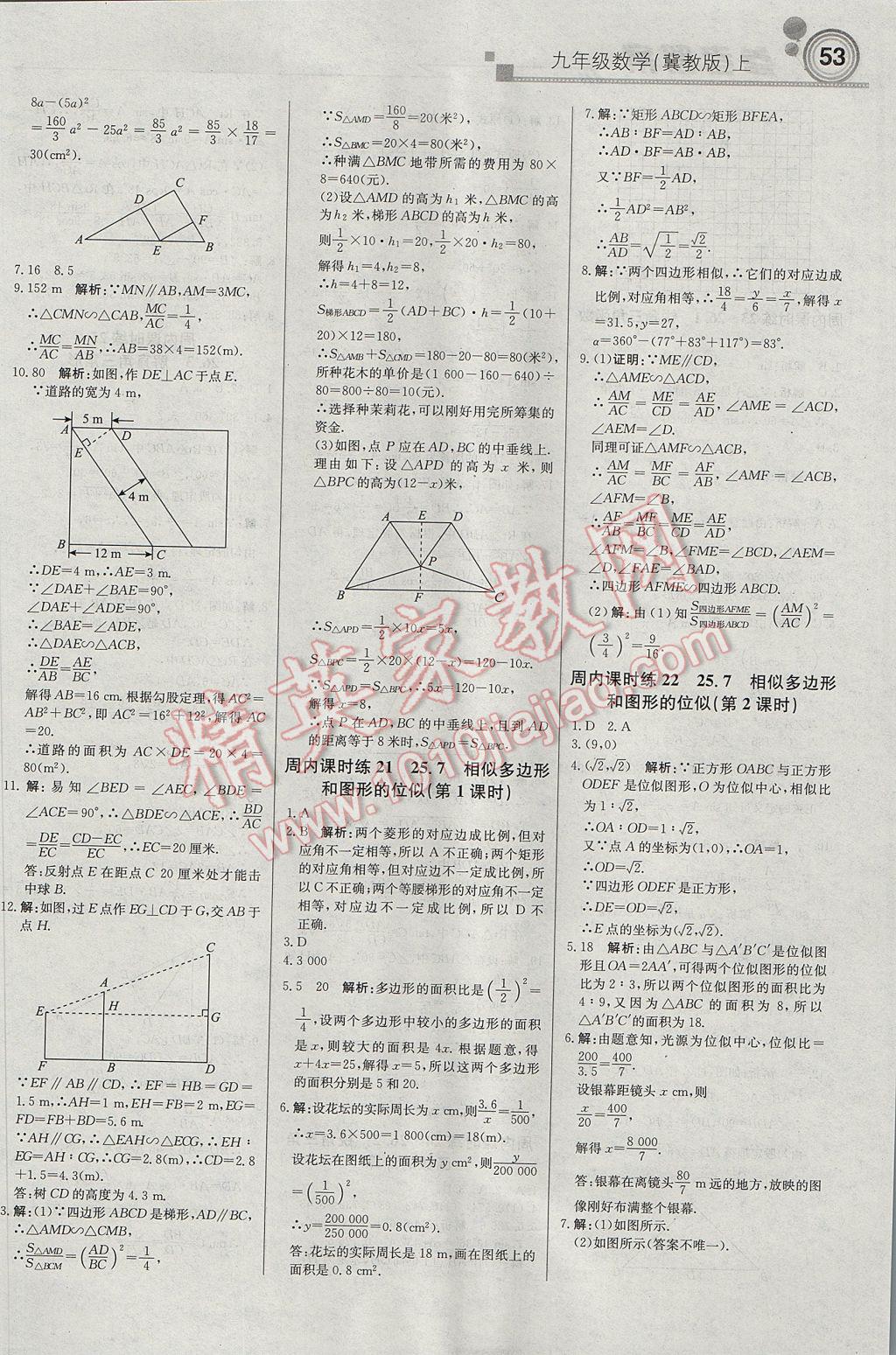 2017年輕巧奪冠周測(cè)月考直通中考九年級(jí)數(shù)學(xué)上冊(cè)冀教版 參考答案第5頁(yè)