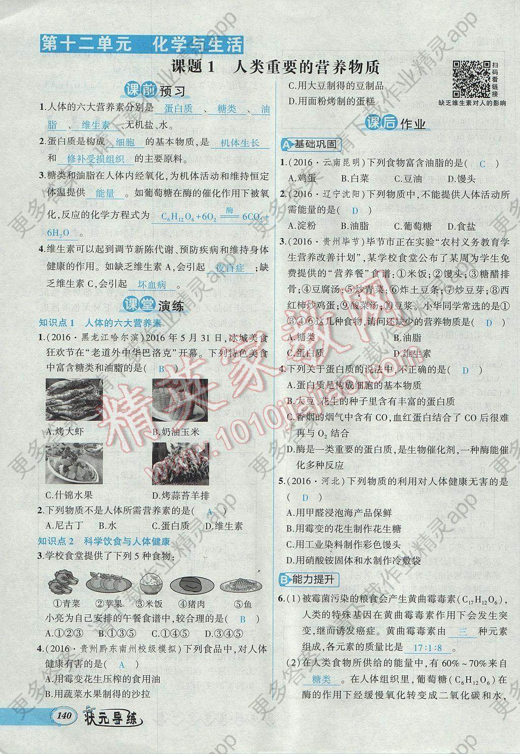 2017年黄冈状元导练导学案九年级化学全一册