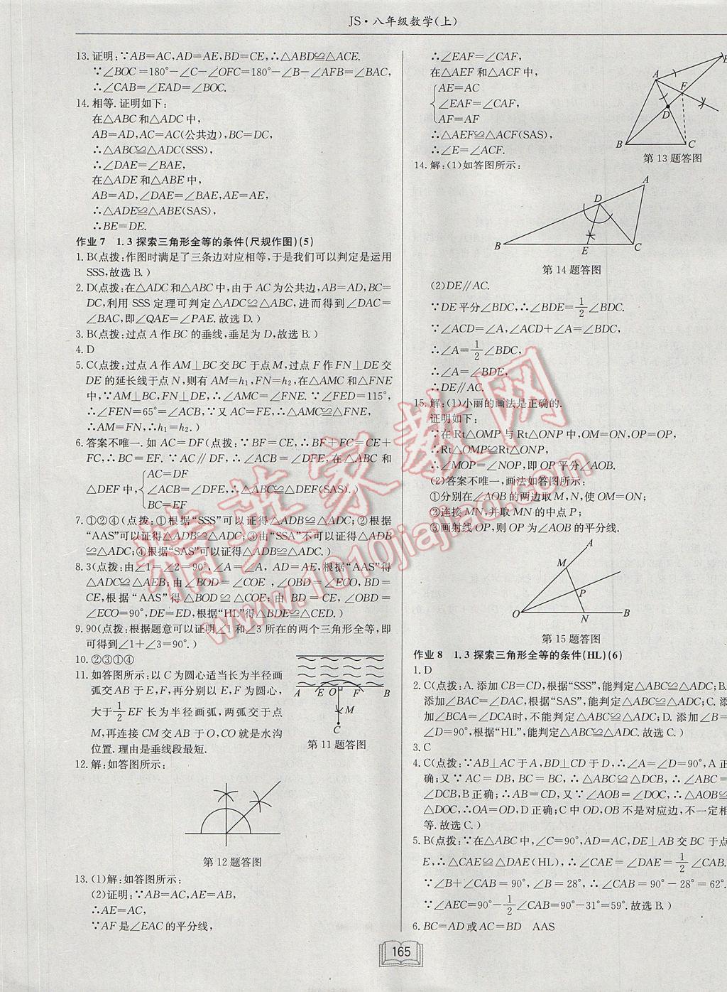 2017年啟東中學(xué)作業(yè)本八年級(jí)數(shù)學(xué)上冊(cè)江蘇版 參考答案第5頁(yè)