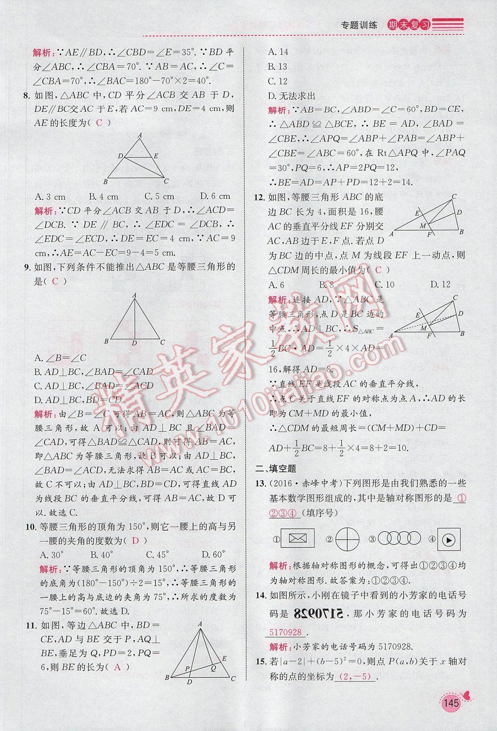 2017年思路教练同步课时作业八年级数学上册人教版 期末复习专题训练第9页