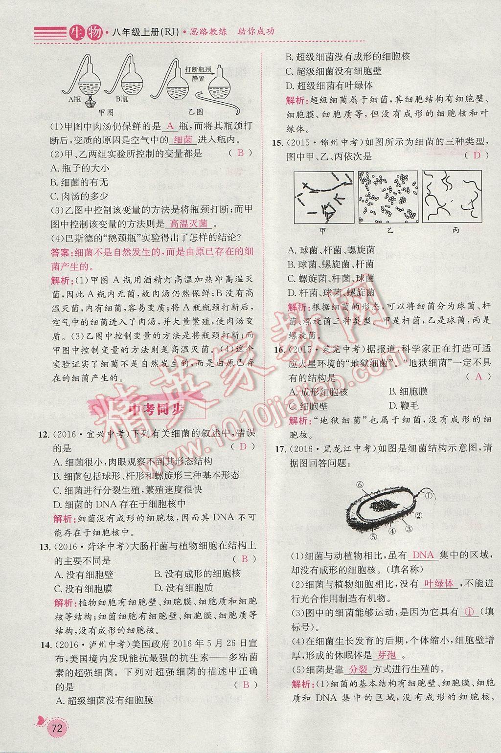 2017年思路教練同步課時(shí)作業(yè)八年級(jí)生物上冊(cè)人教版 第五單元第95頁(yè)