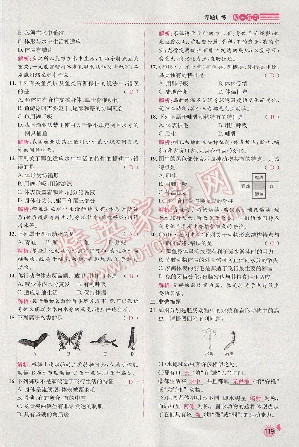 2017年思路教練同步課時作業(yè)八年級生物上冊人教版 期末復(fù)習(xí)專題訓(xùn)練第2頁