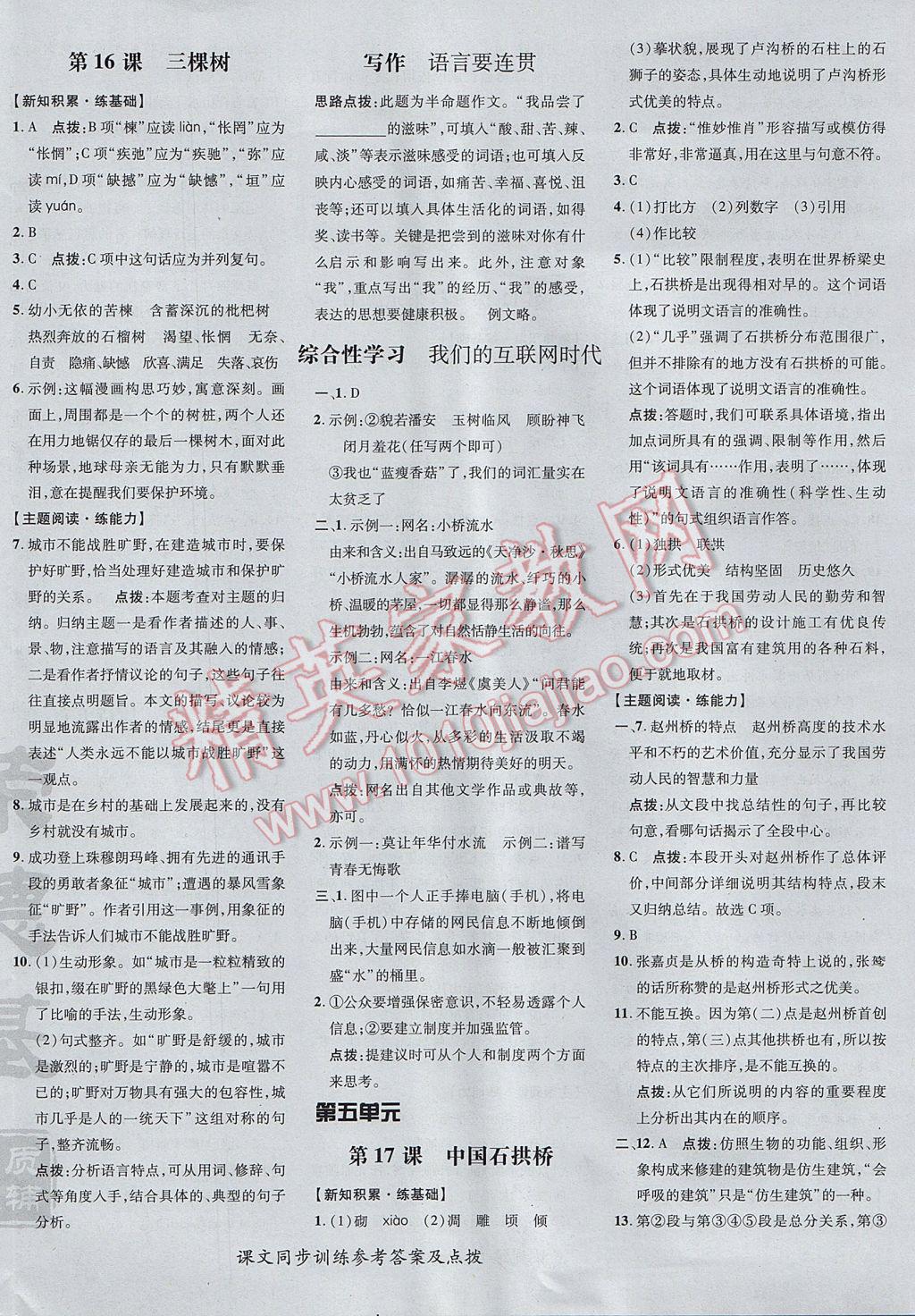 2017年點撥訓(xùn)練八年級語文上冊人教版 參考答案第16頁