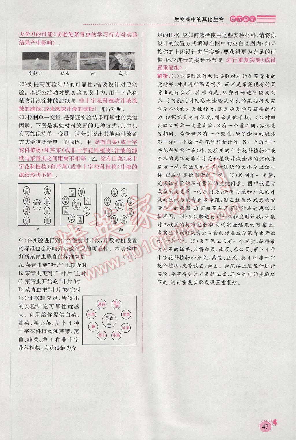 2017年思路教練同步課時(shí)作業(yè)八年級(jí)生物上冊人教版 第五單元第70頁