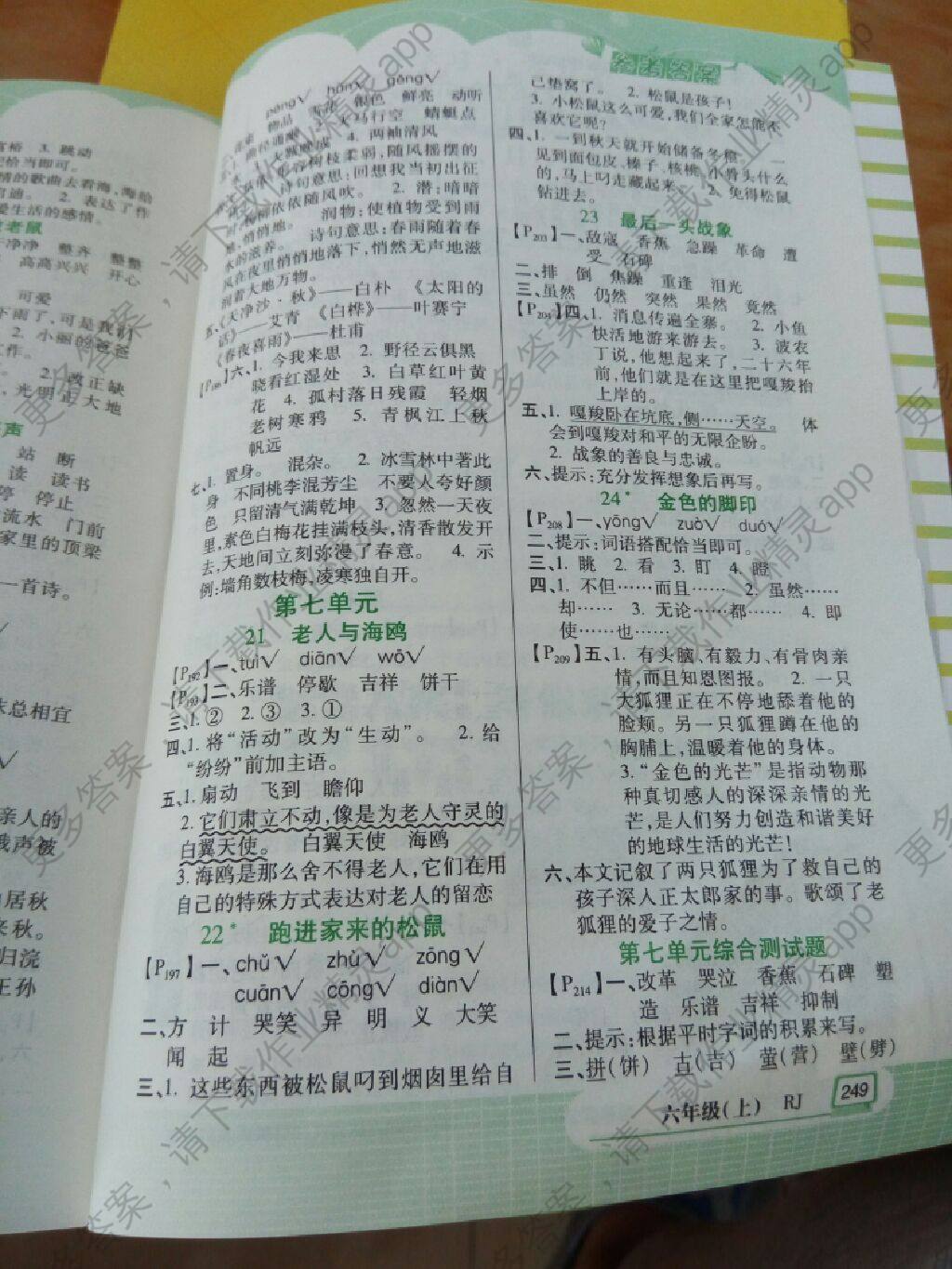 字词句篇