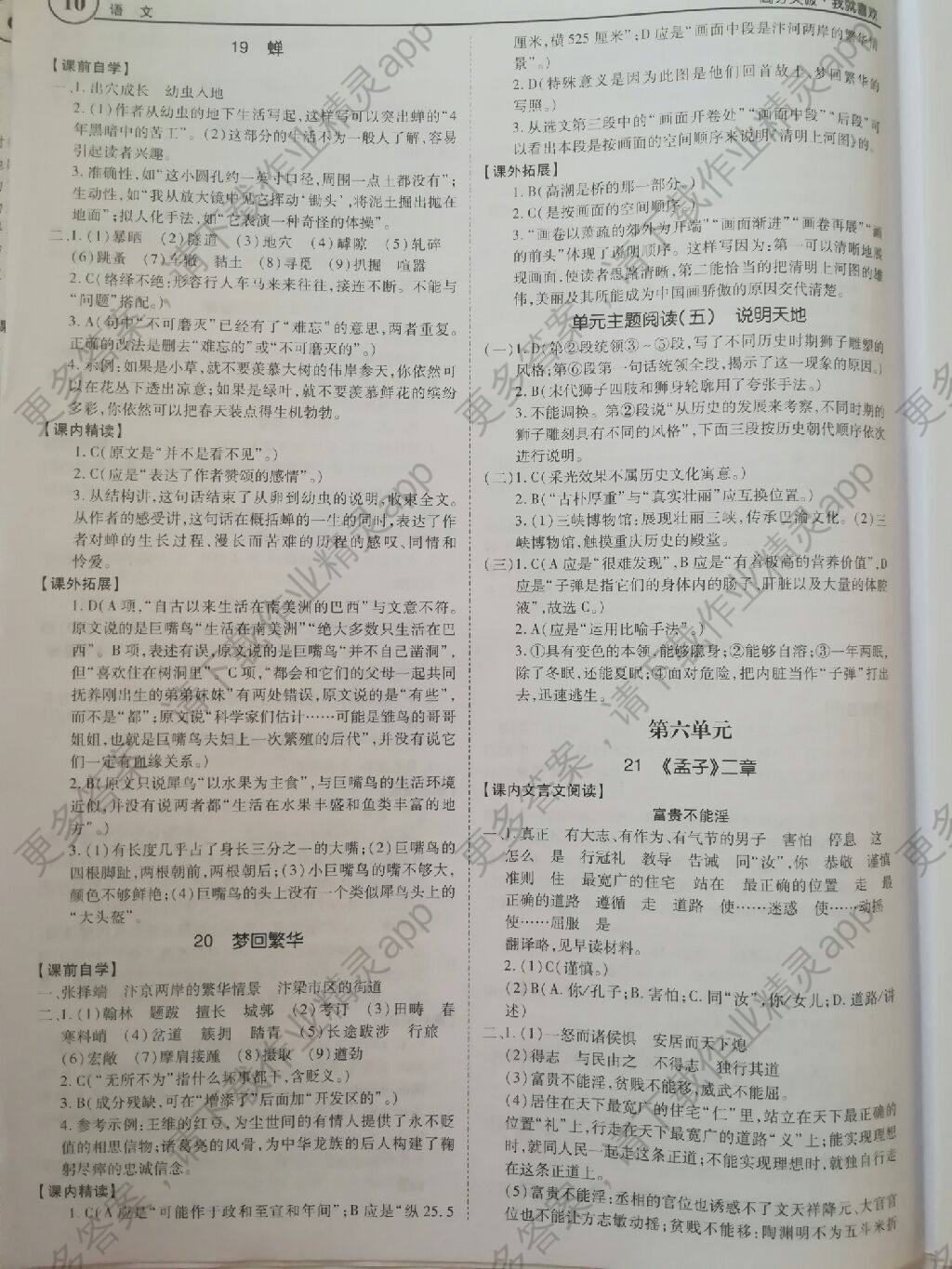 广东中考高分突破语文八年级上册答案精英家教网