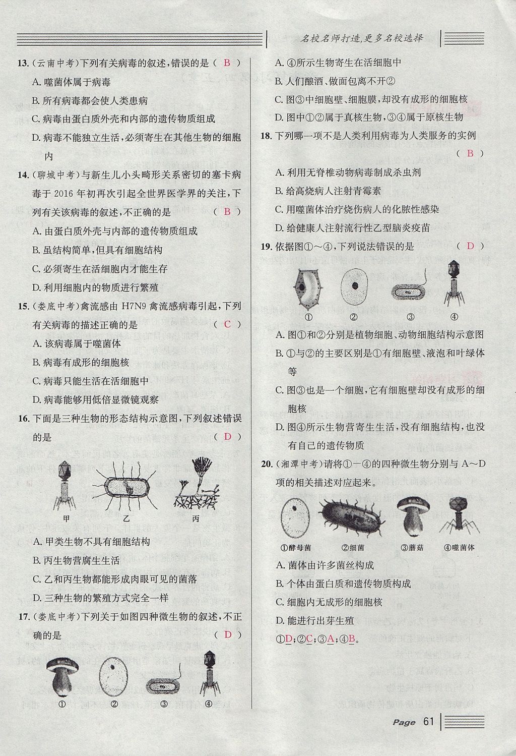 2017年名校課堂滾動(dòng)學(xué)習(xí)法八年級生物上冊人教版 第五單元 生物圈中的其他生物第85頁