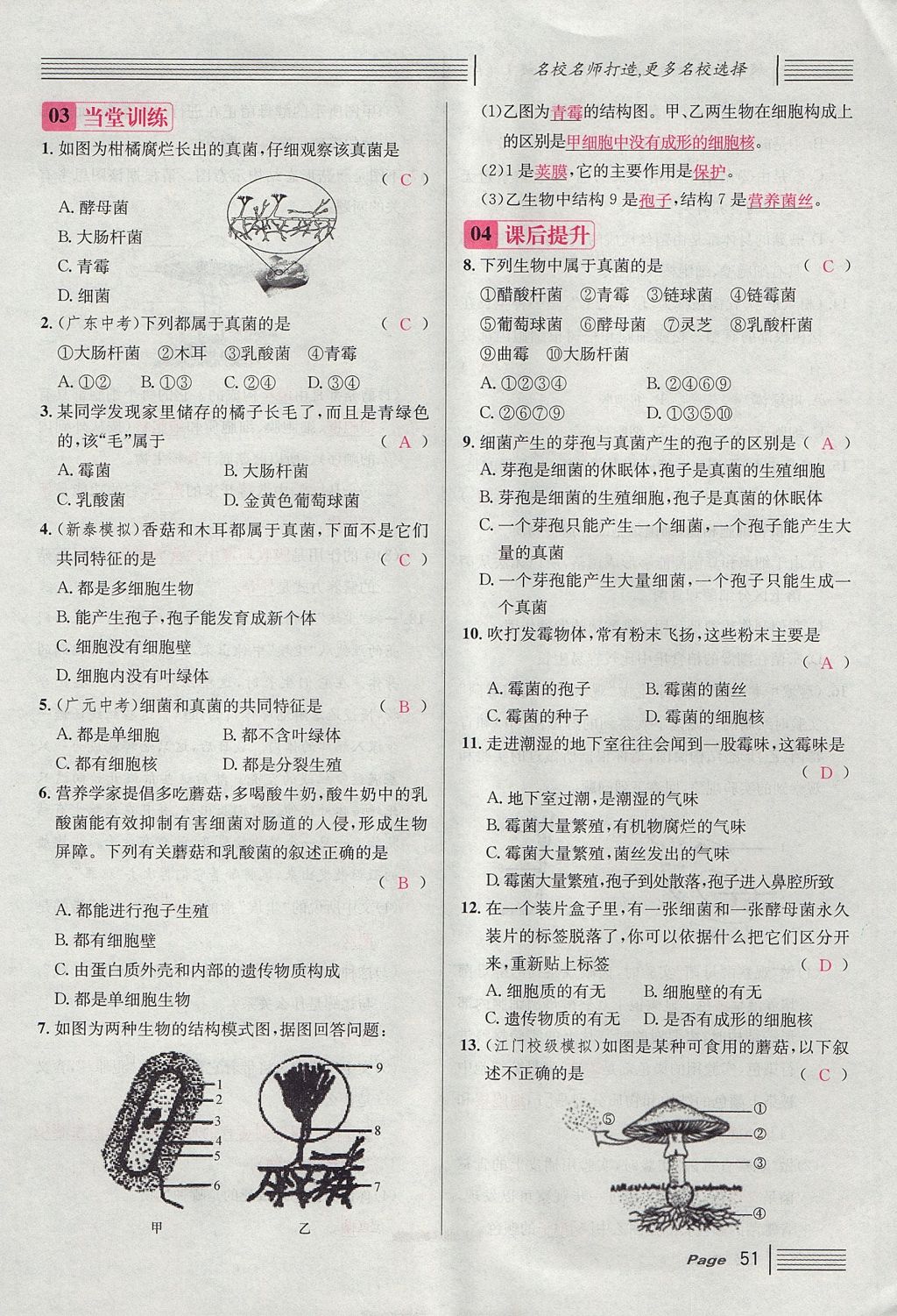 2017年名校課堂滾動(dòng)學(xué)習(xí)法八年級(jí)生物上冊(cè)人教版 第五單元 生物圈中的其他生物第75頁(yè)