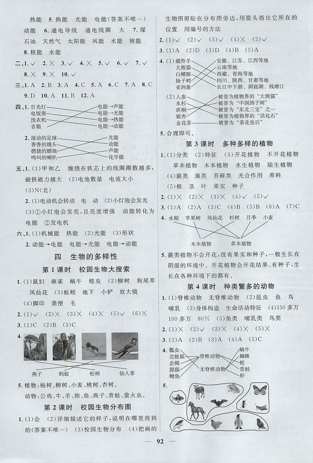 2017年陽光同學課時優(yōu)化作業(yè)六年級科學上冊教科版 參考答案第6頁