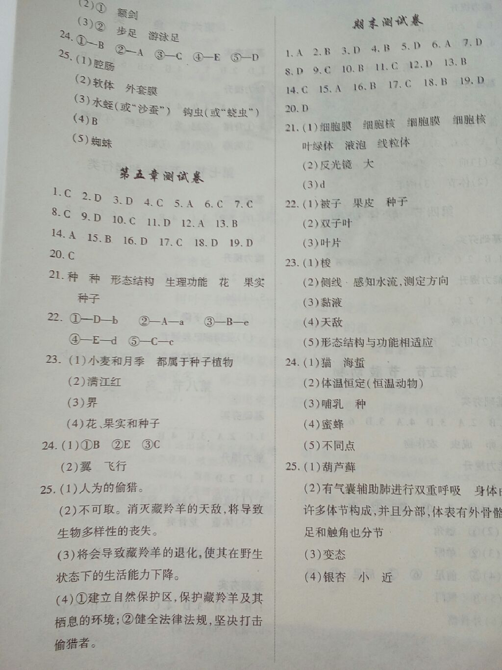 2017年一课一案创新导学七年级生物上册河北少儿版 参考答案第5页