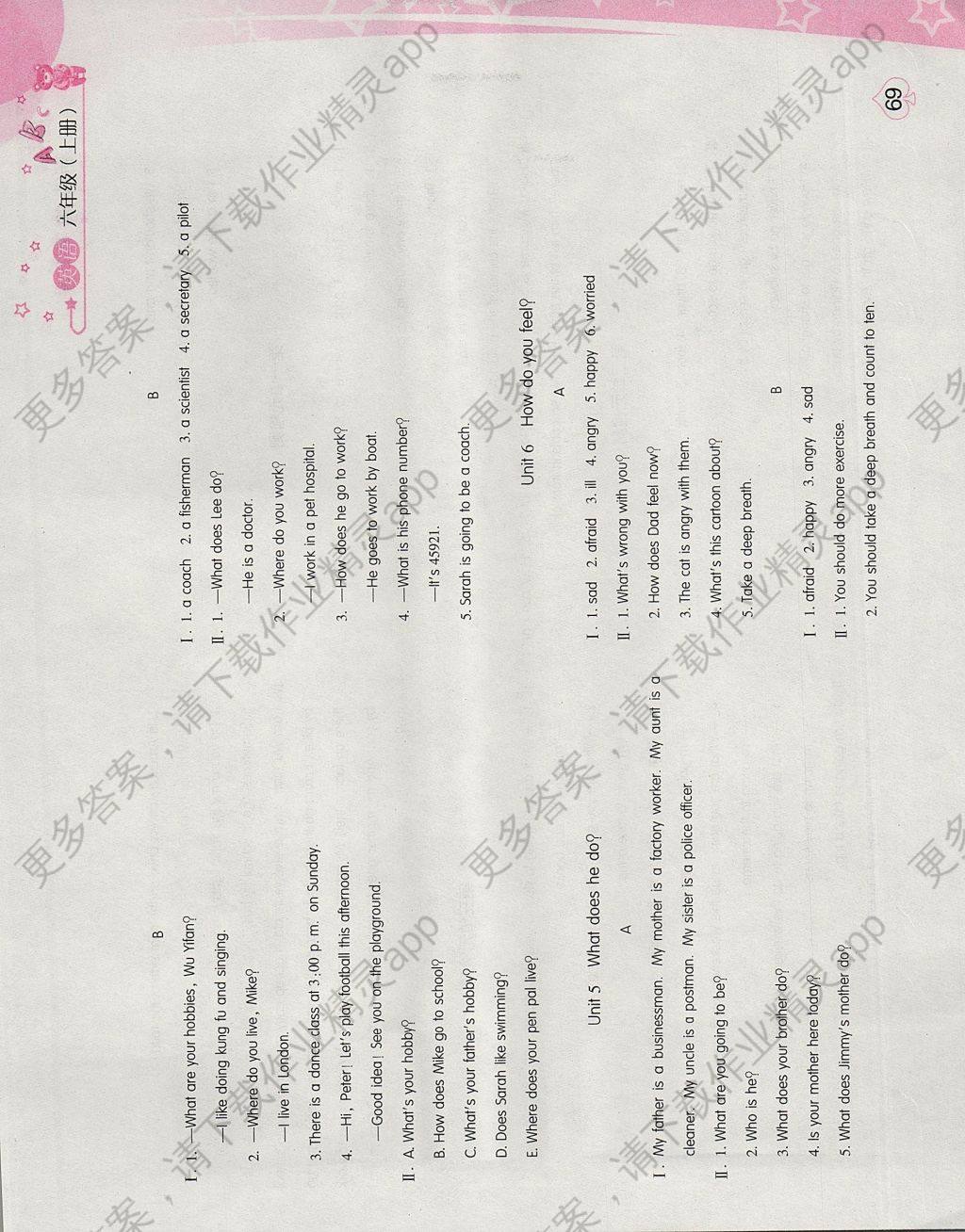 2017年新编基础训练六年级英语上册人教版答案