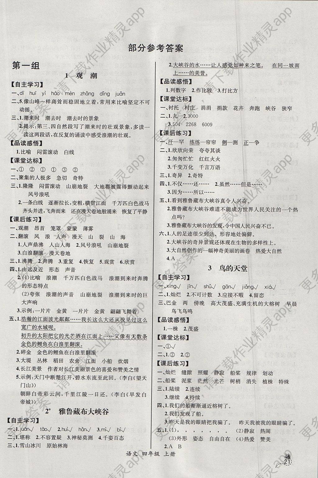 2017年同步导学案课时练四年级语文上册人教版河北专版 参考答案第1页