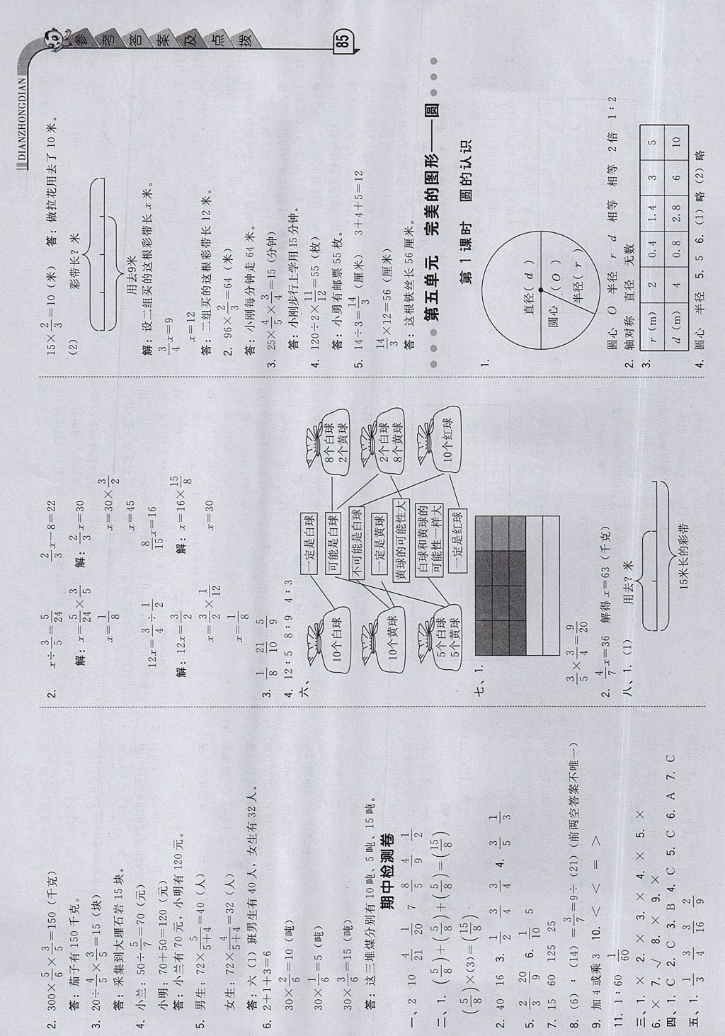 2017年綜合應用創(chuàng)新題典中點六年級數(shù)學上冊青島版 參考答案