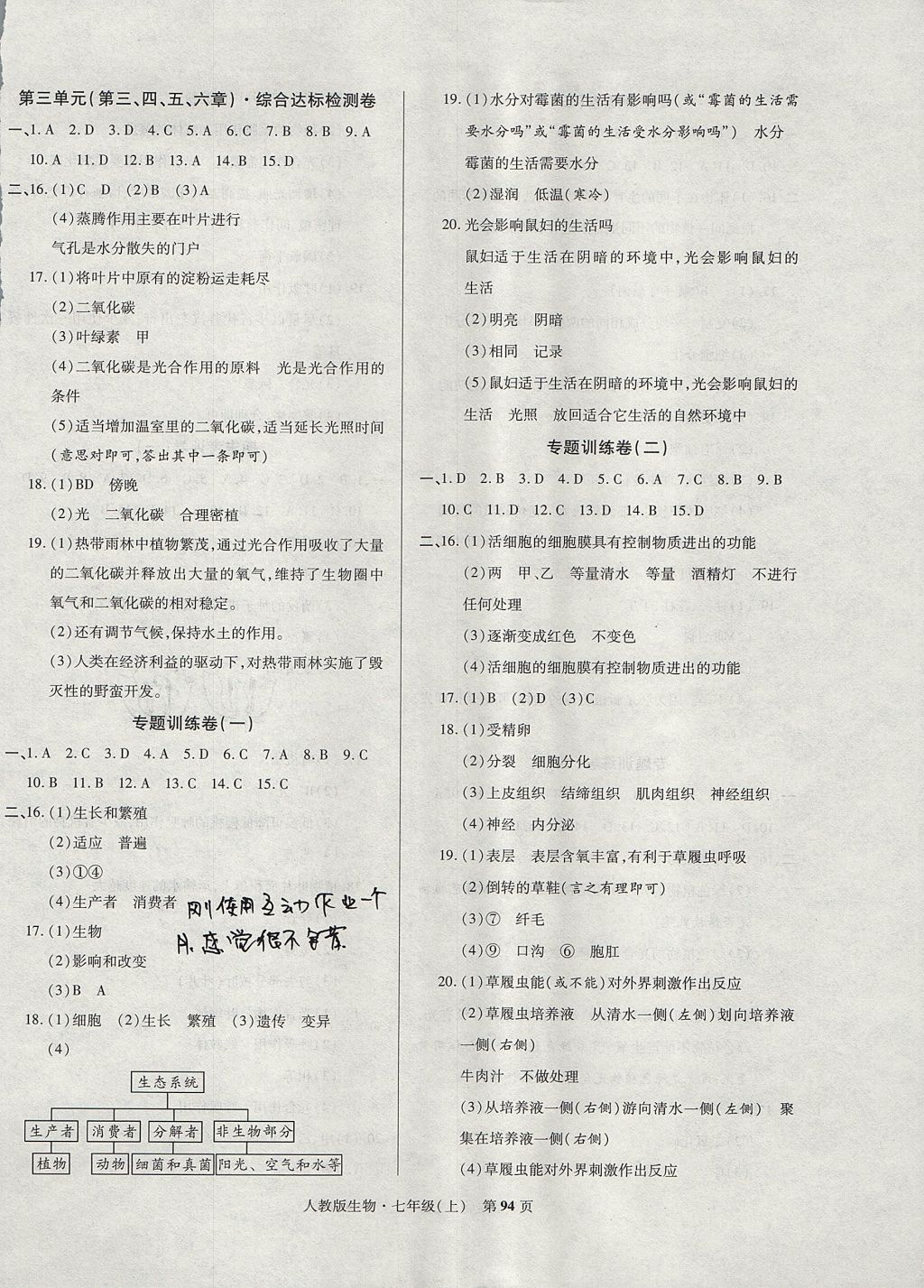 2017年課標新卷七年級生物上冊人教版 參考答案第6頁