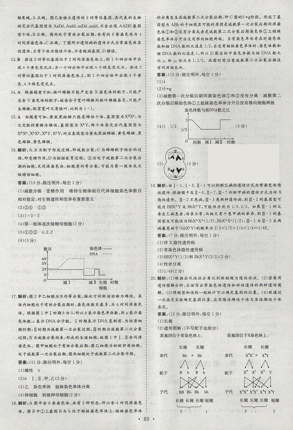 2018年小題巧練生物必修2人教版 參考答案第11頁